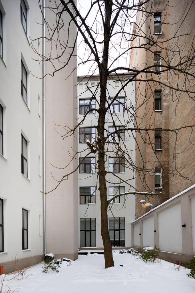 Urban Terrace In Centre * Riga